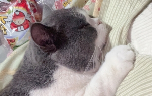 �ҵČ�ؐ�߁G��20���죡��(zh��n)��ŗ��ĕr(sh��)�򣬾����ֻ؁���