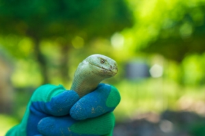 �F(xi��n)��(sh��)���r(n��ng)���c�ߣ���Ę���J(r��n)��