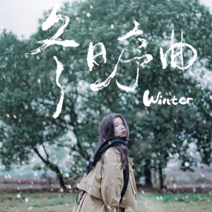 ���յ�ѩ�����ϵی��o���g��Ԋ