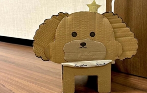 ��D���㣺�Ҽ��А�Ȯ�����