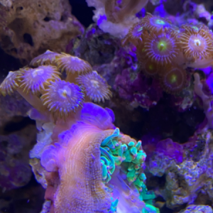 ��һ���Լ��B�����캣��