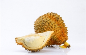 �p�ƶ�����߅�I�˂���ɏ���Y����...