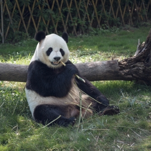 �x�������Ą�(d��ng)��@�����