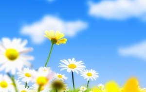 ��ʳƷ�������˴��������