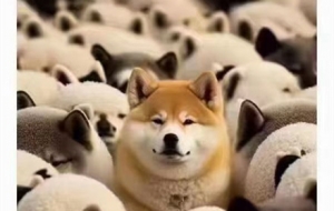 �ڶ������Դ��������Q��ꎹ�