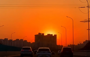 �����飺Ըÿ�춼���@�ӵ�����