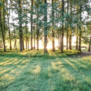 ����Ϣ�� �f�����ʂ�l������