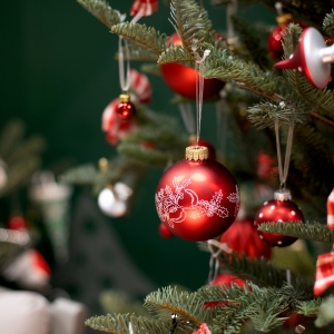 ���ߵ�ʥ�Q�� �������Ķ��]����