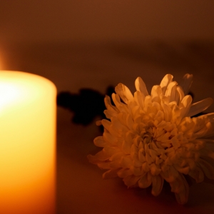 �ゃ��߅����?y��n)��?y��ng)���x���Ć᣿