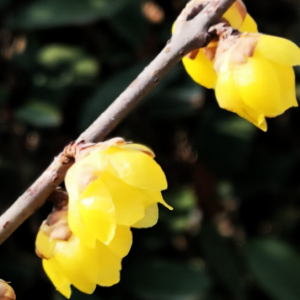 �D÷�_�� ף�������옷��