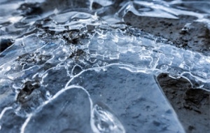 -11�����ڽ�����������^�@ô��������