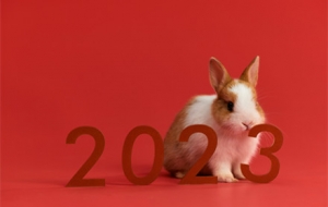 �c����384�����ɂ����������괺��Ҫ��7��7