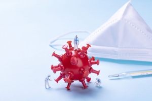 ������XBB�������y ���Л]���������~