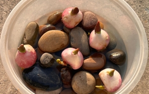 ����ҵ������㣺ѩ�׵���׃�ۼtɫ����