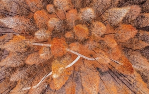 ���ģ�Ո���֟�� ������һ���ɽ��