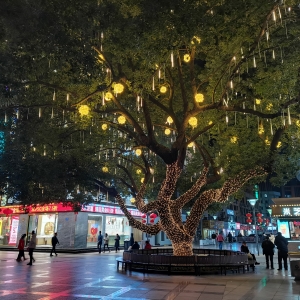 ����򿨣���Ϥ�Ľ֣����[��ҹ