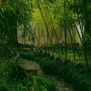 ������ ��ɪԹ���t����ҹ�����r(sh��)