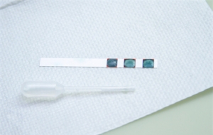 �������������H���b����