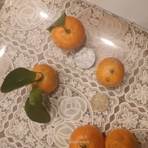 ʳƷ���Iˮ����һ��ȫ��С�����ͱ���һ�ӎׂ����