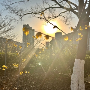 ���Ѱ����ȥ�����o��һͰ�����������R��߀׌�Ұ��������ߡ���