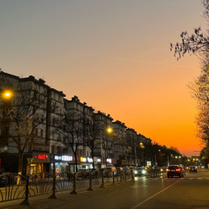 �S���Ĵ� ��������