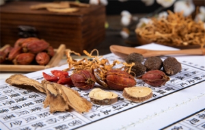 ���{�����w�������к��c�����t�D������ô