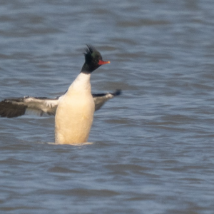 �@�N����һ�����o����״άF����ꎣ�