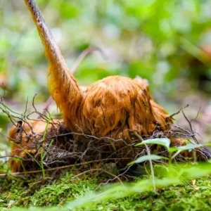 ��ُ؜�u ����ë������������̣�