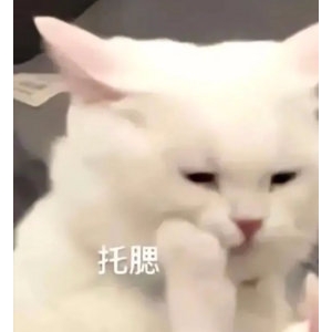 �ϼs�Y�飿�@�N�F������������І᣿