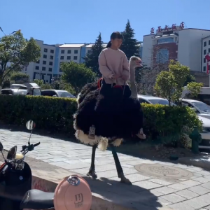 Ҫ���Ǵ�������zȥ�ˣ��治���T�r�B����