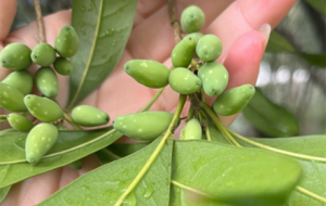 �@��ʲôѽ���@��(g��)С������ʲô��