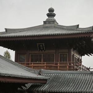 ���鲻�e���ߵ����ﶼ����