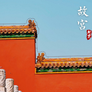 �򿨹ʌm���t���S������������