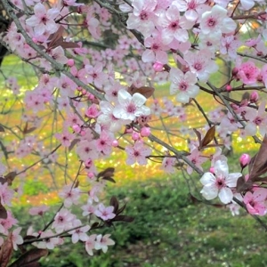 �����_���ˣ�������æҲ��Ҫ��ӛ�����