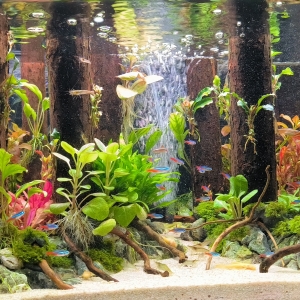 �ĕr�ɂ����������_�׵��ɾ������X���Լ���������߀��