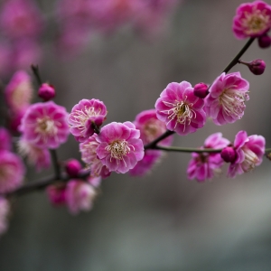 �����؄e���������Ǿ�Ԓ��÷�����Կຮ��