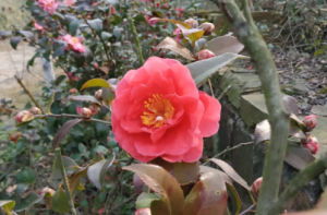 �S�ģ���ů���_�����C��Ȼ