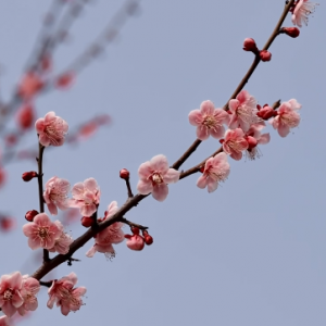  һ�����Z�L������һ�����_���G