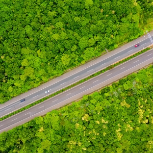 ���ϰl������Դ܇���B·�M��������Ҋ��