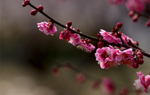 �L�мs�������`������q�q����ؓ