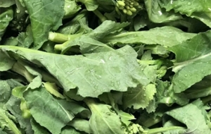 ��ꎵĴ��죬��ɫ�M�@����ɫ�ɲ�