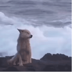 �б��´�����w�᣿�Î���ǰ�� �fҪ���ˣ�