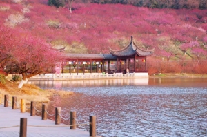 ��ʼ�f���� �f����K�򂀿�