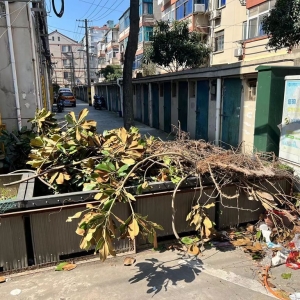 �޼���Ę�֦�ѷ��ڻ����ϣ�Ӱ푴�ҳ���