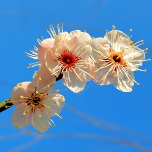 ܽ�غ����@�Ĕz����֮�