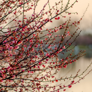 ���ϡ�÷��һ���ʼ��÷���h��