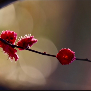 �S��һ����g��÷�����