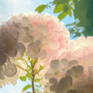 �����~ϲ�g���N��������