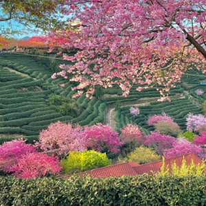 ����~̫ϲ�g�@��titi�zӰ���ĵĴ�����