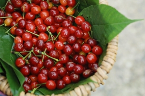 �h�x�������� �w�[ɽ����@